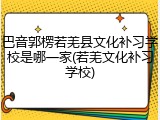 巴音郭楞若羌县文化补习学校是哪一家(若羌文化补习学校)