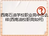 西南石油学校职业高中怎么样(西南油校职高如何)
