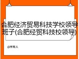 合肥经济贸易科技学校领导班子(合肥经贸科技校领导)