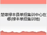 楚雄禄丰县单招集训中心在哪(禄丰单招集训地)