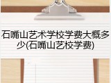 石嘴山艺术学校学费大概多少(石嘴山艺校学费)