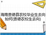 海南贵德县农校毕业生去向如何(贵德农校生去向)