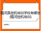 精河县挖机培训学校有哪些(精河挖机培训)