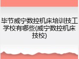 毕节威宁数控机床培训技工学校有哪些(威宁数控机床技校)