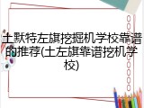 土默特左旗挖掘机学校靠谱的推荐(土左旗靠谱挖机学校)