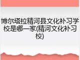 博尔塔拉精河县文化补习学校是哪一家(精河文化补习校)