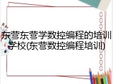 东营东营学数控编程的培训学校(东营数控编程培训)
