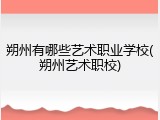 朔州有哪些艺术职业学校(朔州艺术职校)