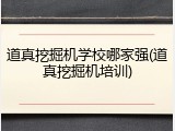 道真挖掘机学校哪家强(道真挖掘机培训)