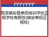 商洛镇安县单招培训学校正规学校有那些(镇安单招正规校)