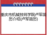 重庆市机械技师学院卢军简历介绍(卢军简历)