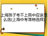 上海孩子考不上高中应该怎么选(上海中考落榜选择)