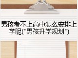 男孩考不上高中怎么安排上学呢("男孩升学规划")