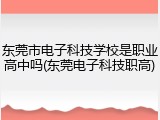 东莞市电子科技学校是职业高中吗(东莞电子科技职高)