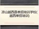 凉山越西县单招培训学校(越西单招培训)