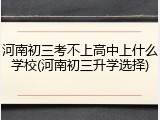 河南初三考不上高中上什么学校(河南初三升学选择)