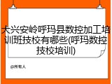 大兴安岭呼玛县数控加工培训班技校有哪些(呼玛数控技校培训)