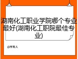 湖南化工职业学院哪个专业最好(湖南化工职院最佳专业)