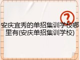 安庆宜秀的单招集训学校哪里有(安庆单招集训学校)