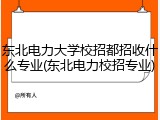 东北电力大学校招都招收什么专业(东北电力校招专业)
