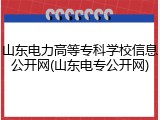 山东电力高等专科学校信息公开网(山东电专公开网)