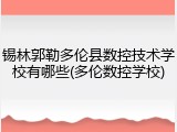 锡林郭勒多伦县数控技术学校有哪些(多伦数控学校)