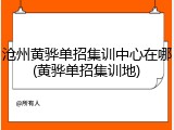 沧州黄骅单招集训中心在哪(黄骅单招集训地)