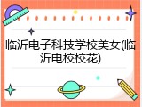 临沂电子科技学校美女(临沂电校校花)