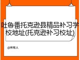 吐鲁番托克逊县精品补习学校地址(托克逊补习校址)