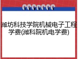 潍坊科技学院机械电子工程学费(潍科院机电学费)