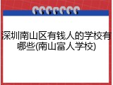 深圳南山区有钱人的学校有哪些(南山富人学校)
