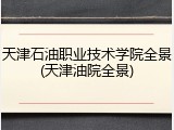 天津石油职业技术学院全景(天津油院全景)