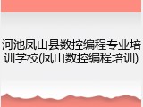 河池凤山县数控编程专业培训学校(凤山数控编程培训)