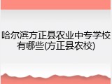 哈尔滨方正县农业中专学校有哪些(方正县农校)