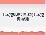 上城挖机培训机构(上城挖机培训)