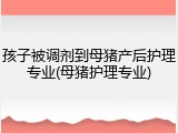 孩子被调剂到母猪产后护理专业(母猪护理专业)