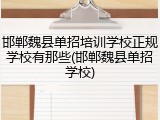 邯郸魏县单招培训学校正规学校有那些(邯郸魏县单招学校)