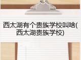 西太湖有个贵族学校叫啥(西太湖贵族学校)