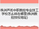 株洲芦淞中职数控专业技工学校怎么样在哪里(株洲数控技校地址)