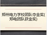郑州电力学校团队夺金奖(郑电团队获金奖)