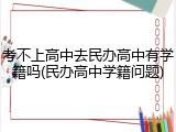 考不上高中去民办高中有学籍吗(民办高中学籍问题)