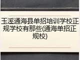 玉溪通海县单招培训学校正规学校有那些(通海单招正规校)
