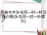 乌鲁木齐头屯河一对一补习班价格(头屯河一对一补课价)