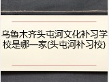 乌鲁木齐头屯河文化补习学校是哪一家(头屯河补习校)