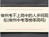 宿州考不上高中的人多吗现在(宿州中考落榜率高吗)
