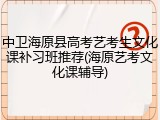 中卫海原县高考艺考生文化课补习班推荐(海原艺考文化课辅导)
