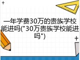 一年学费30万的贵族学校能进吗("30万贵族学校能进吗")