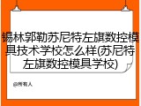 锡林郭勒苏尼特左旗数控模具技术学校怎么样(苏尼特左旗数控模具学校)