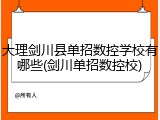 大理剑川县单招数控学校有哪些(剑川单招数控校)