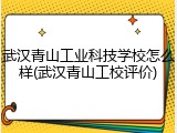 武汉青山工业科技学校怎么样(武汉青山工校评价)